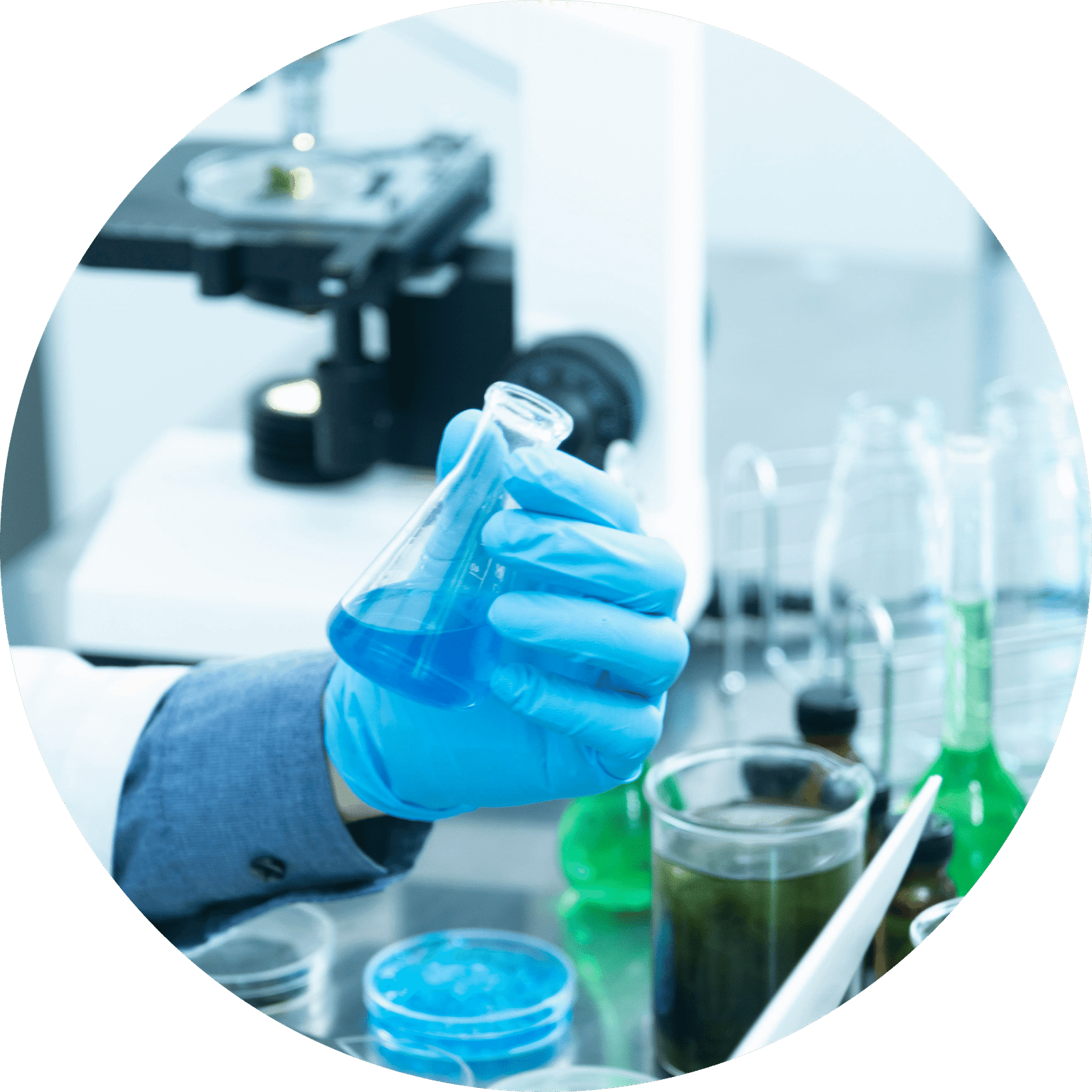 Procurement & Grants